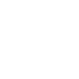 Our Vision